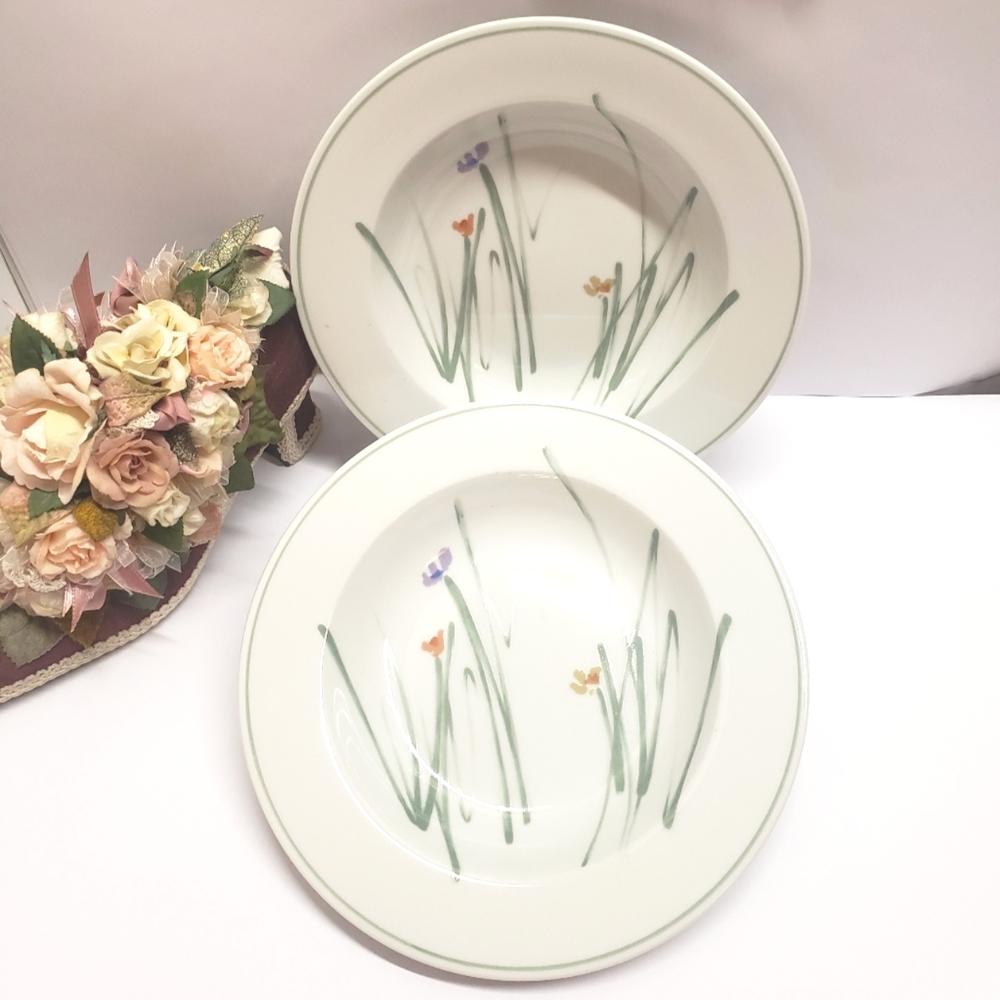 2 Unique Mikasa Sketch Book by Bob Van Allen 9" Bowls Flower Sketch